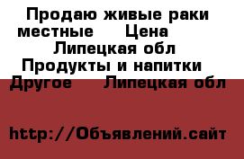 Продаю живые раки(местные). › Цена ­ 600 - Липецкая обл. Продукты и напитки » Другое   . Липецкая обл.